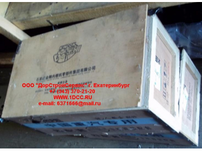 Поршневая группа WD615.87 290л.с. (6 гильз, 6 поршней (0010), 6 пальцев, комплект колец) H2 HOWO (ХОВО) VG2600030010 фото 1 Калуга