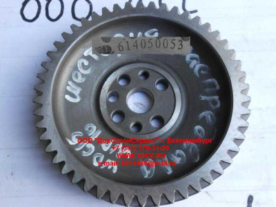 Шестерня распредвала WD615/WP10 HOWO (ХОВО) VG14050053/614050053 фото 1 Калуга