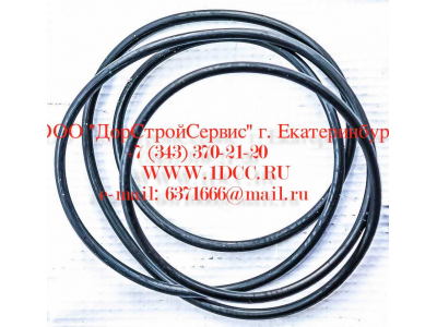 Кольцо уплотнительное ø338х3.55 гидромуфты ГТР CDM 833 Lonking CDM (СДМ) ø338х3.55 фото 1 Калуга