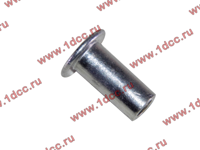 Заклепка алюминиевая 10х24 H2/H3 HOWO (ХОВО) 189000340068 AL фото 1 Калуга