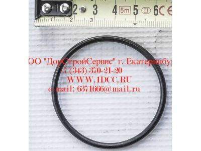 Кольцо уплотнительное ø346х3.5 гидромуфты ГТР CDM 855, 843 Lonking CDM (СДМ) 402236 фото 1 Калуга