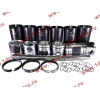 Поршневая группа WD615.95 375л.с. (6 гильз, 6 поршней (...0004), 6 пальцев,комплект колец) H3 BOWEI HOWO (ХОВО)  фото 13 Калуга