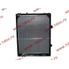 Радиатор WP12 SH SHAANXI / Shacman (ШАНКСИ / Шакман) DZ95259532203 фото 2 Калуга