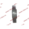 Шестерня привода распредвала промежуточная WD615/WP10 HOWO (ХОВО) VG1560050053/61560050053 фото 3 Калуга