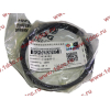 Кольца поршневые (компл. на дв-ль) DF DONG FENG (ДОНГ ФЕНГ) C3964073,C3921919,C394841 для самосвала фото 3 Калуга