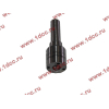 Распылитель DELPHI L337PBB DBG H HOWO (ХОВО) L337PBB фото 3 Калуга