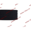 Ремень 8PK1725 DF/C CREATEK CREATEK C3911620/CK8041 фото 3 Калуга