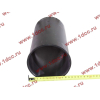 Поршневая группа WD615.95 375л.с. (6 гильз, 6 поршней (...0004), 6 пальцев,комплект колец) H3 BOWEI HOWO (ХОВО)  фото 3 Калуга